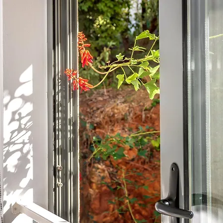Cozy Garden Flat *